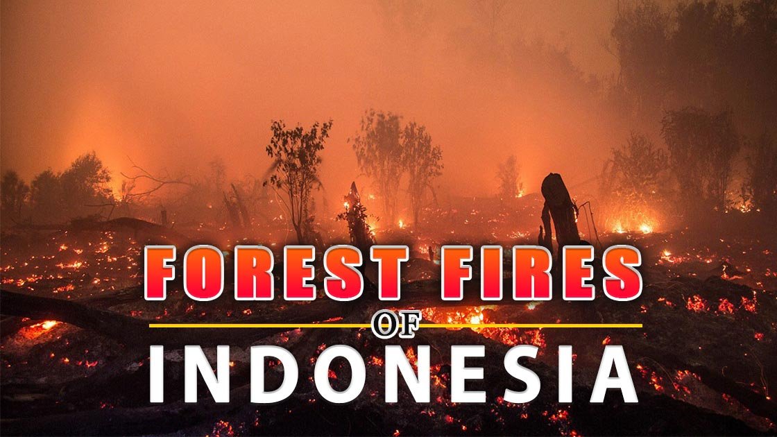 Forest Fires Of Indonesia