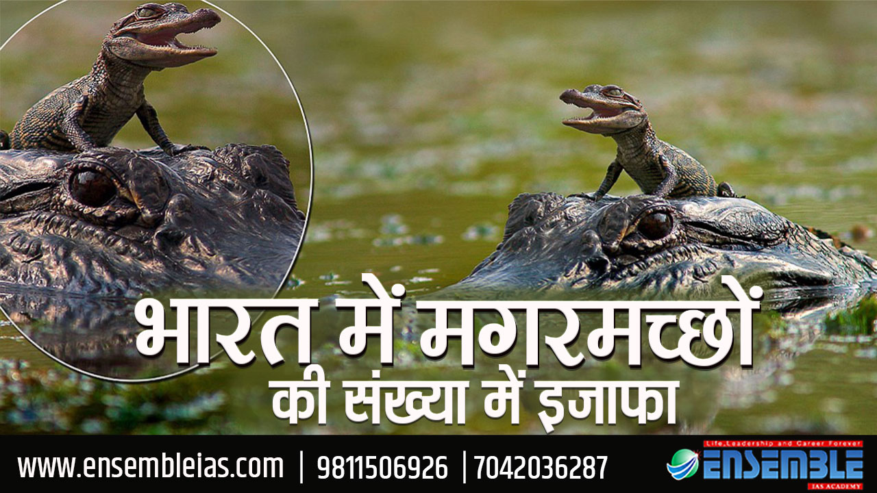 Crocodiles in India