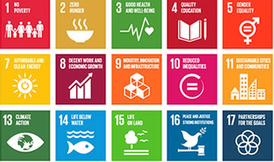 importance of private sector