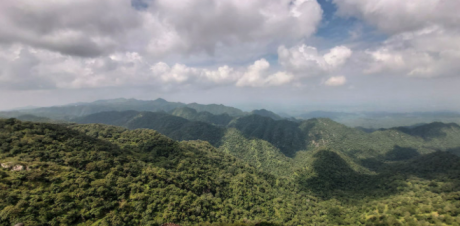 protect the Aravallis