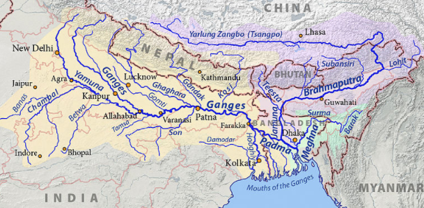 devise a counter plan