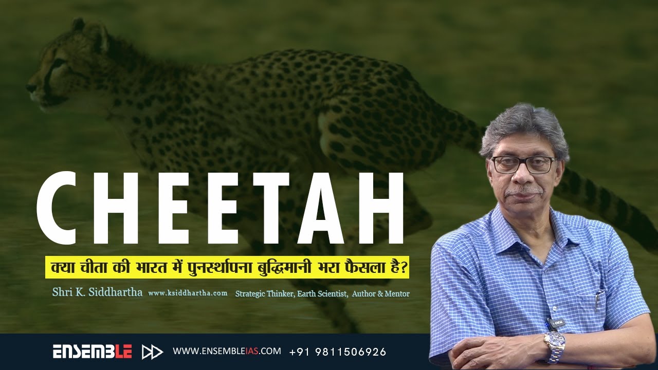 ‘चीता’ Cheetah