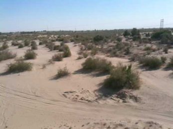 ColoradoRiverAtSanLuis