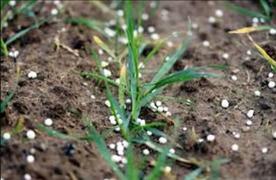 Depleting Phosphorus | GS Paper 3 | Agriculture2