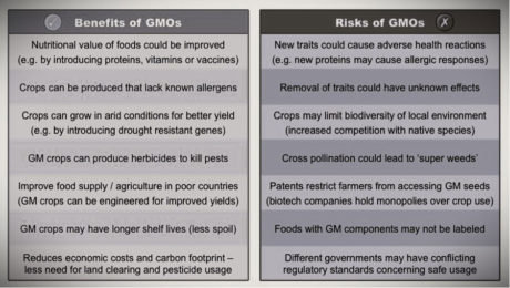 GM-Crops-3