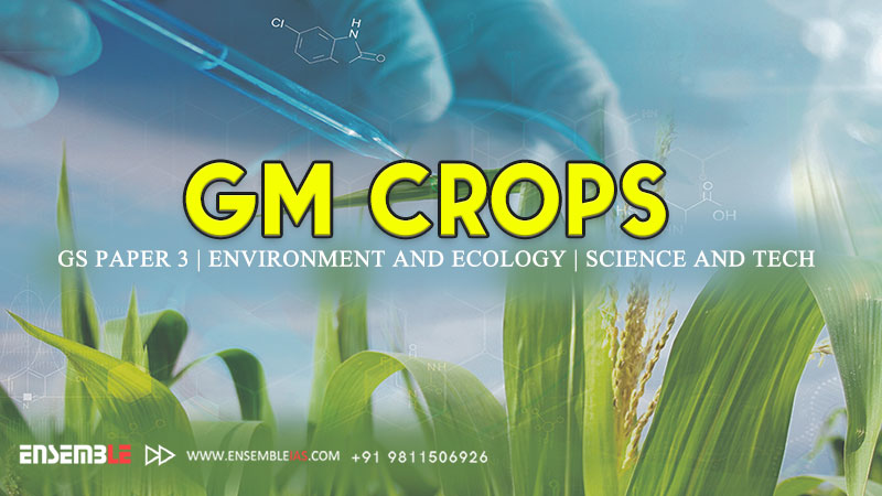 GM Crops