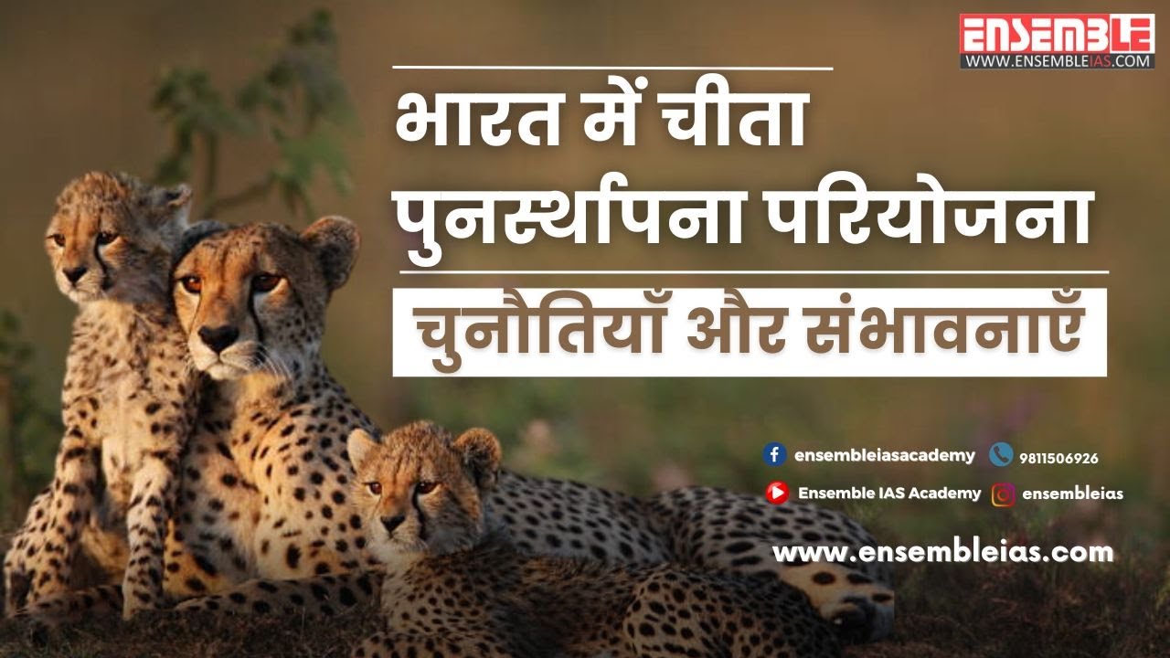 Gandhi Sagar Wildlife Sanctuary