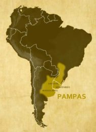 Pampas and valdes peninsula _2